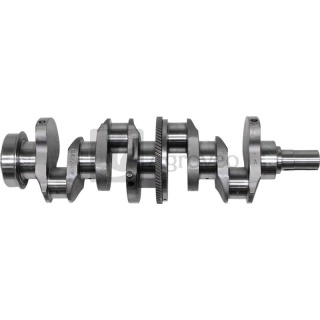 Wał korbowy 4 cyl. 38007248 81804029, 81873978
