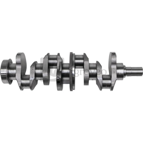 Wał korbowy 4 cyl. 38007248 81804029, 81873978