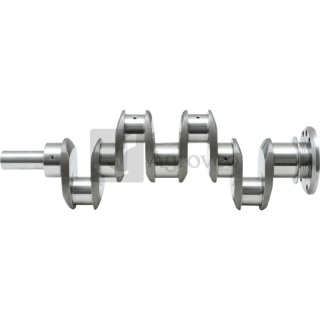 Wał korbowy 4 cyl. 38015597 ZZ90121, 3638473M91