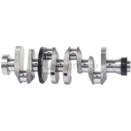 Wał korbowy 4 cyl. 38060102 6005000356