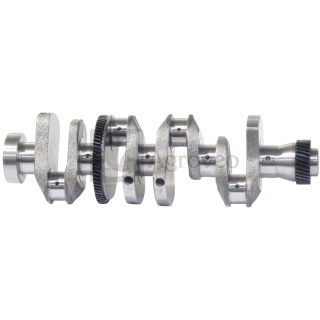 Wał korbowy 4 cyl. 38060102 6005000356