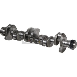 Wał korbowy 6 cyl. 38060103 6005010993, 6005004002