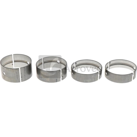 Zestaw panewek głównych 38015405 746156Z91