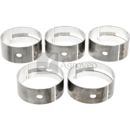 Zestaw panewek głównych 38015531 745584M91