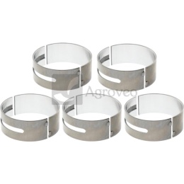 Zestaw panewek głównych 38050110 4226953M91