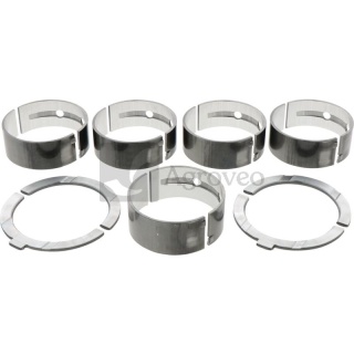 Zestaw panewek głównych 700501005100N1 5010051-00N1, 5010051-B3