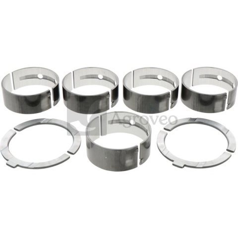 Zestaw panewek głównych 700501005100N1 5010051-00N1, 5010051-B3