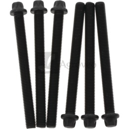 Zestaw śrub głowicy 3040006259 6x 04270815