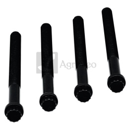 Zestaw śrub głowicy cylindra 356060.220 060.220