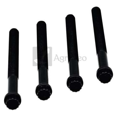 Zestaw śrub głowicy cylindra 356060.220 060.220