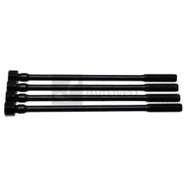 Zestaw śrub głowicy cylindra 356098.190 098.190