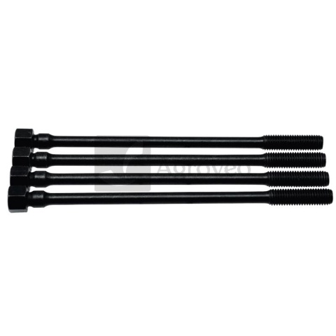 Zestaw śrub głowicy cylindra 356098.190 098.190