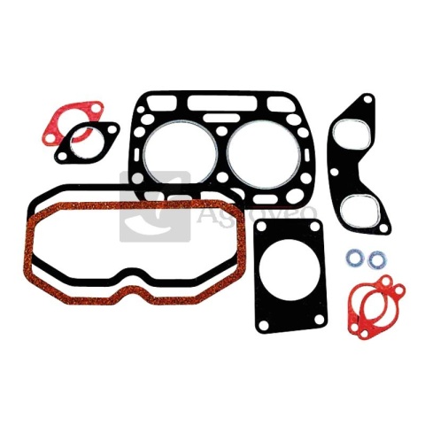 Zestaw uszczelek 38002090 3051138R92