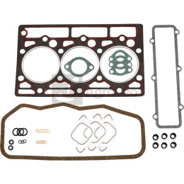 Zestaw uszczelek głowicy cylindra 3040001937 3136798R99, 02-25300-02