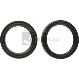 Zestaw uszczelek pokrywy oleju 38087093 2161