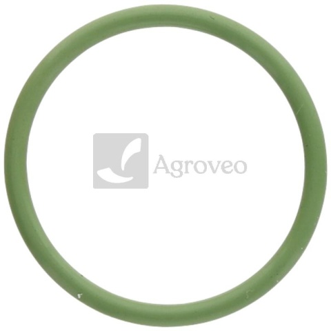 Oring 37406072 F002200210390