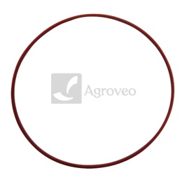 Oring 38004282 01166120