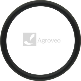 Oring 380120234 R504734
