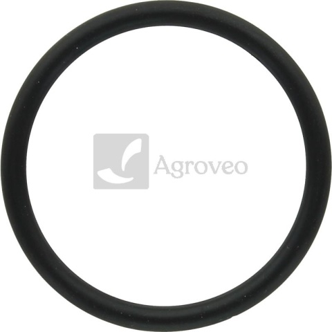 Oring 380120234 R504734