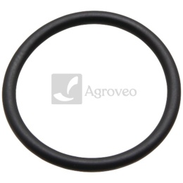 Oring 380120279 R61105
