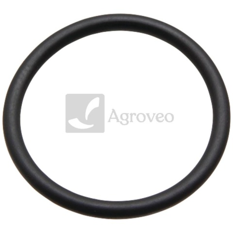 Oring 380120279 R61105