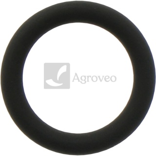 Oring 38012538 R65397