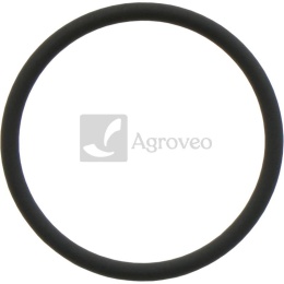 Oring 38012540 R516647