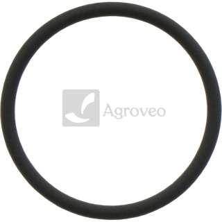 Oring 38012540 R516647