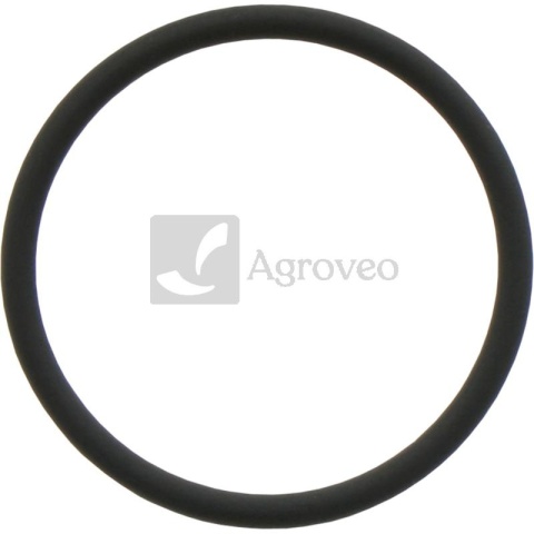 Oring 38012540 R516647