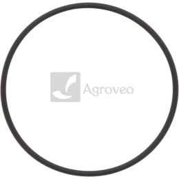 Oring 38012560 H35244