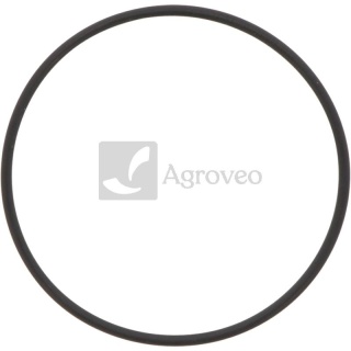 Oring 38012560 H35244