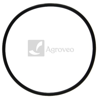 Oring 38012574 R121424