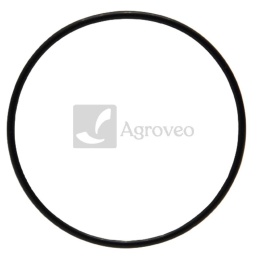 Oring 38012575 R61467