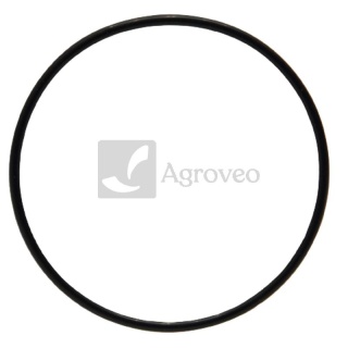 Oring 38012575 R61467