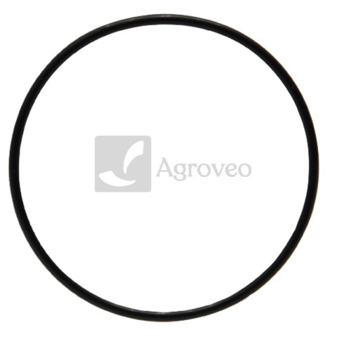 Oring 38012575 R61467