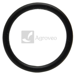 Oring 38012580 R63185