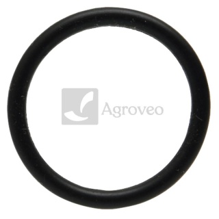 Oring 38012580 R63185