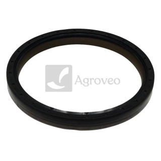 Pierścień uszczelniający 38006291 F824200210180, 503.209, 11482, 20029606B