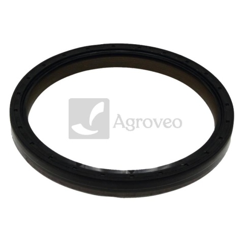 Pierścień uszczelniający 38006291 F824200210180, 503.209, 11482, 20029606B