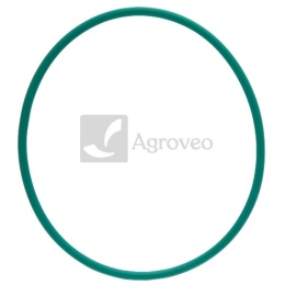 Pierścień uszczelniający 38006297 F312200710080, 02710221