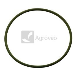 Pierścień uszczelniający 38006715 F818200710040