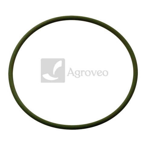 Pierścień uszczelniający 38006715 F818200710040