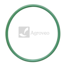 Pierścień uszczelniający 38006722 515200900050, 01175851