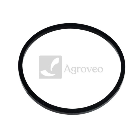 Pierścień uszczelniający 38006723 515200900040, 12273066