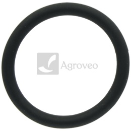 Pierścień uszczelniający 38006890 01183405, F836200710140