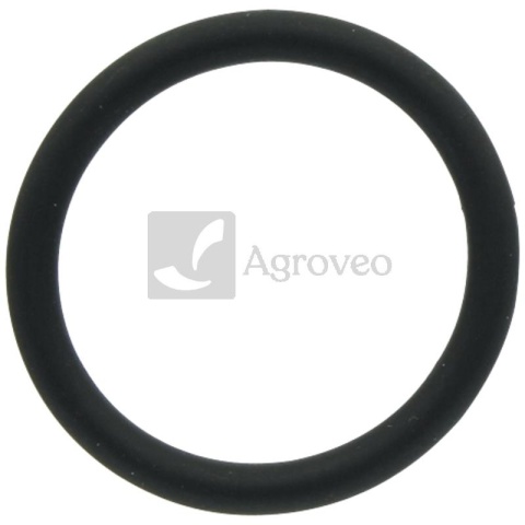 Pierścień uszczelniający 38006890 01183405, F836200710140