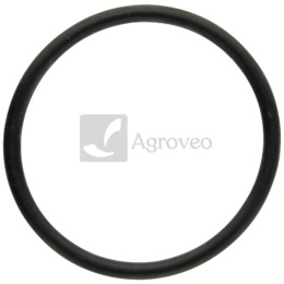 Pierścień uszczelniający 38006907 F934201510290, 04289062
