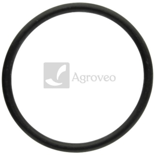 Pierścień uszczelniający 38006907 F934201510290, 04289062