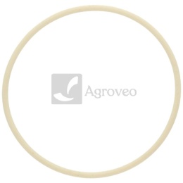 Pierścień uszczelniający 38006946 01171243, 01180084, 01166111, F100001171243