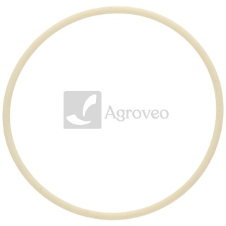 Pierścień uszczelniający 38006946 01171243, 01180084, 01166111, F100001171243